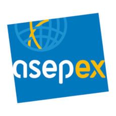 cropped-logo_asepex-1.png